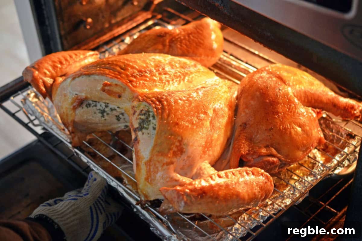 A beautifully golden brown spatchcock turkey being carefully removed from the oven, its skin perfectly bronzed.