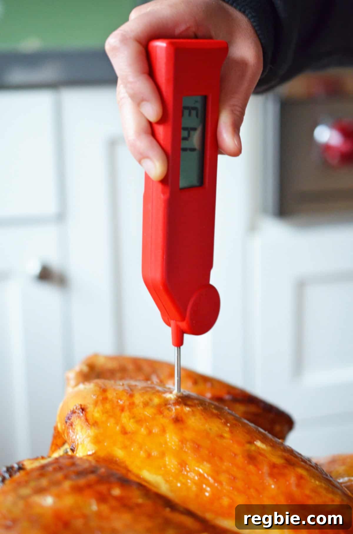 An instant-read meat thermometer checking the internal temperature of a perfectly cooked spatchcock turkey.