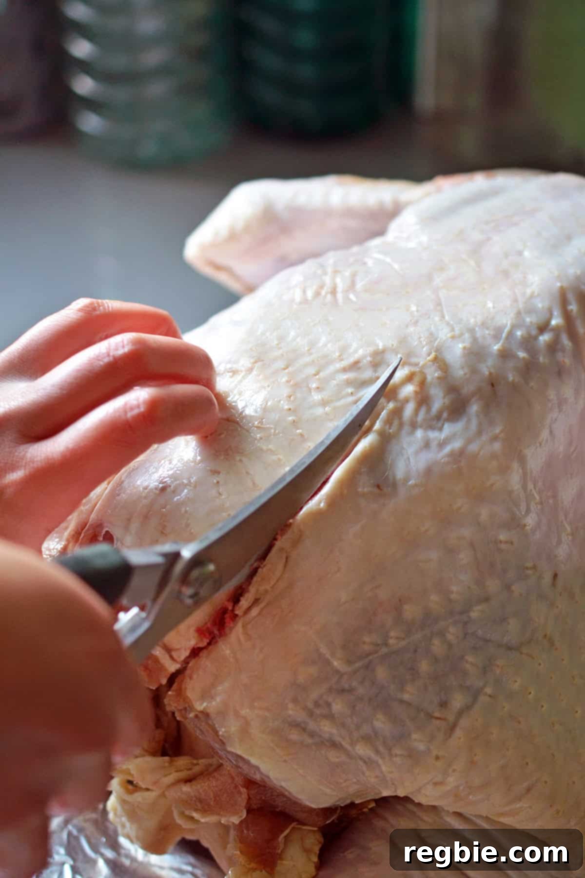 Using strong kitchen shears to carefully cut along one side of the backbone of a raw turkey.