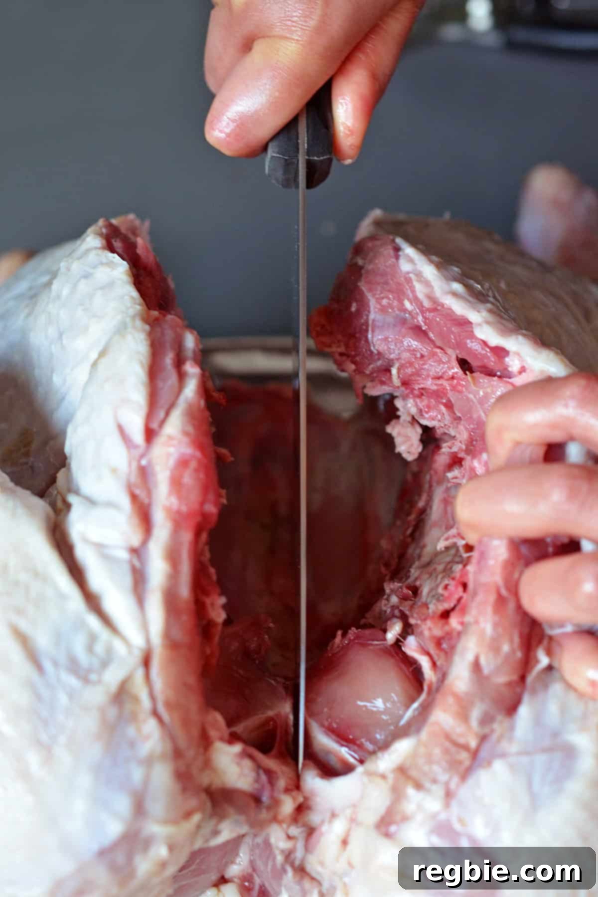 A knife making a shallow cut into the cartilage of the breastbone to aid in flattening the turkey.