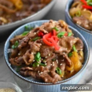 A closeup of a blue and white bowl with gyudon, Japanese beef and rice bowl topped with red pickled ginger and sliced green onions.
