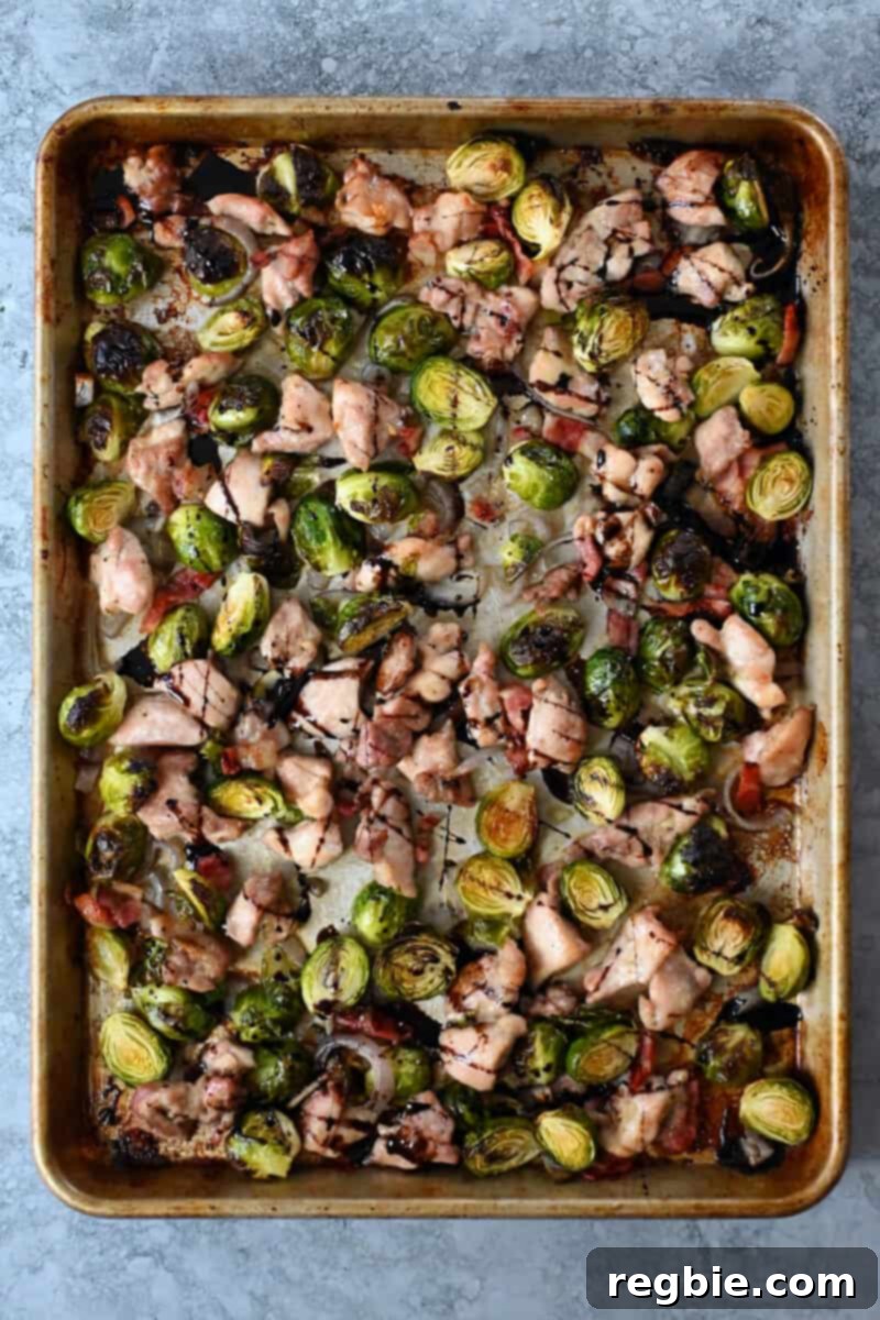 One Pan Chicken and Crispy Brussels Bake 12 An overhead shot of a sheet pan displaying cubed chicken thighs, roasted Brussels sprouts, crispy bacon bits, and sliced shallots, freshly cooked and ready to be served.