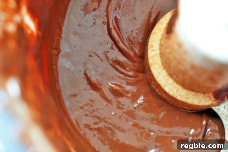 Paleo Vegan Gluten Free Chocolate Graham Cracker Pie 12 An overhead view of rich, melted chocolate and other filling ingredients blending perfectly in an open food processor, creating a smooth, dark mixture.