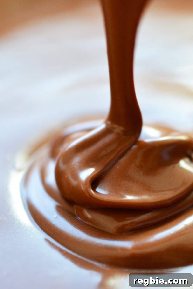 Paleo Vegan Gluten Free Chocolate Graham Cracker Pie 13 The dark, smooth chocolate pie batter being carefully poured into a springform pan with the prepared crust, illustrating the pie assembly process.