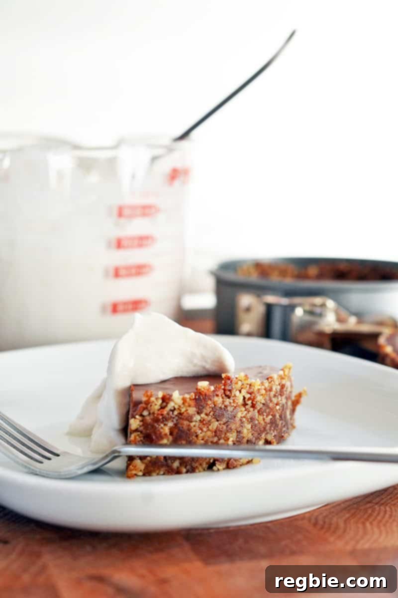 Paleo Vegan Gluten Free Chocolate Graham Cracker Pie 16 A tempting slice of paleo chocolate pie on a plate, garnished with a generous swirl of whipped coconut cream and accompanied by a fork, inviting a delightful taste.