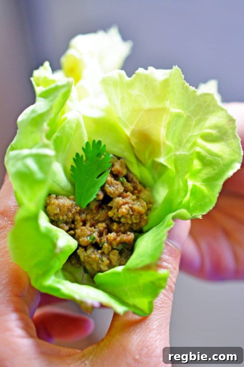 Aromatic Keema Samosa Platter 15 Deconstructed samosa, or spiced keema, beautifully served in a fresh lettuce cup for a low-carb, grain-free option.