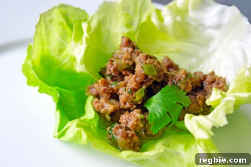 Aromatic Keema Samosa Platter 4 Paleo spiced keema served in a fresh lettuce wrap, offering a gluten-free and Whole30 friendly way to enjoy Indian flavors.