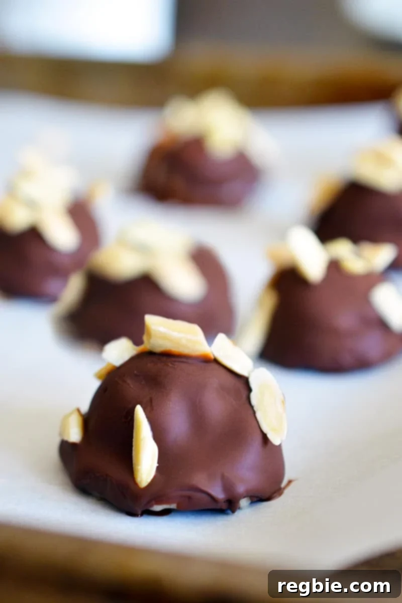 Guilt-Free Chunky Monkey Nice Cream Bonbons 18 A close-up shot of an inviting tray filled with meticulously crafted Chunky Monkey Ice Cream Bon Bons, highlighting their creamy paleo and vegan banana ice cream centers, shiny chocolate shells, and delicate toasted almond toppings.