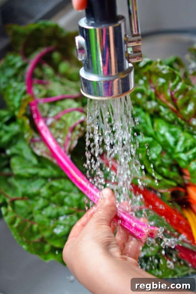 A person is carefully washing vibrant rainbow Swiss chard leaves under a running faucet, preparing them for the salad recipe.