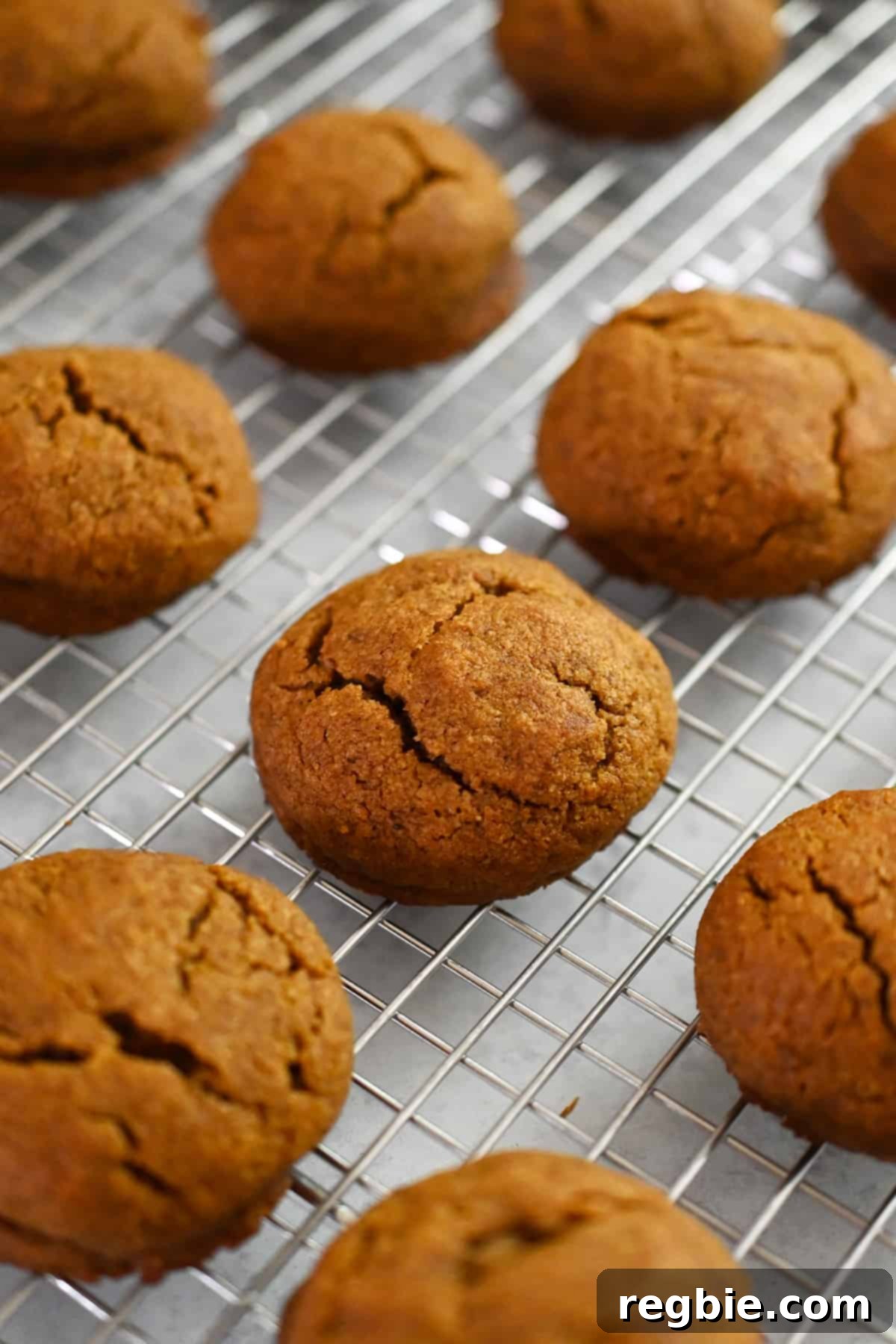 Paleo Pumpkin Bliss Cookies 18 A closeup showing paleo pumpkin cookies cooling on a wire rack.