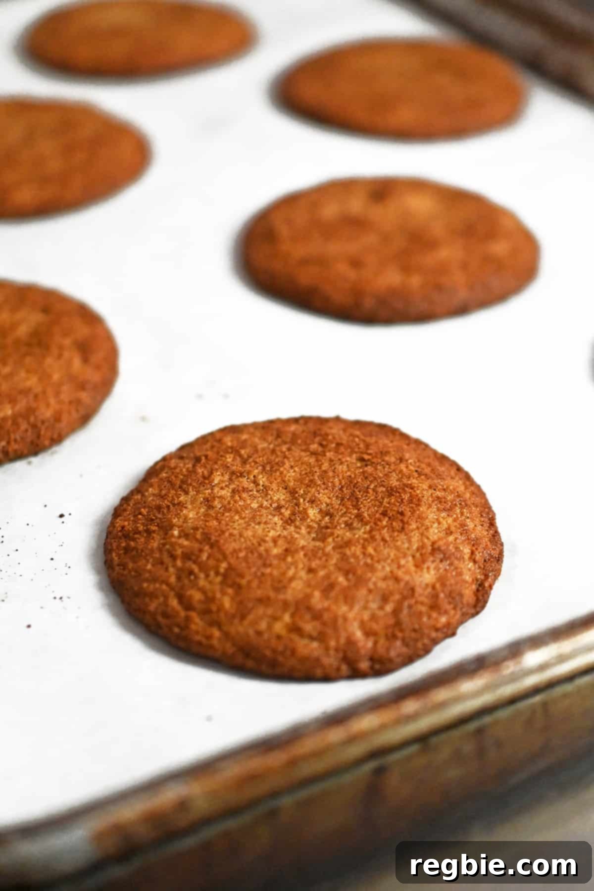 A close-up view of freshly baked paleo and gluten-free snickerdoodle cookies on a rimmed baking sheet, showing their golden edges.