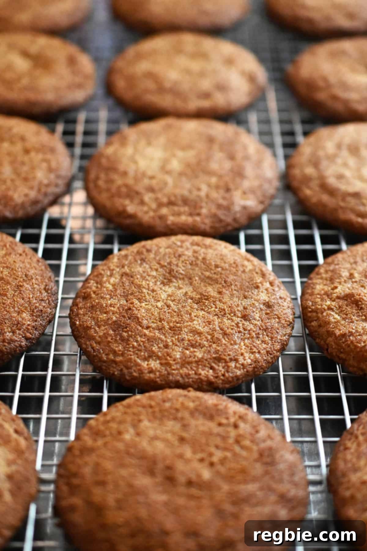 A close-up shot of freshly baked paleo and gluten-free snickerdoodles cooling on a wire rack, showcasing their perfectly cracked cinnamon-sugar tops.