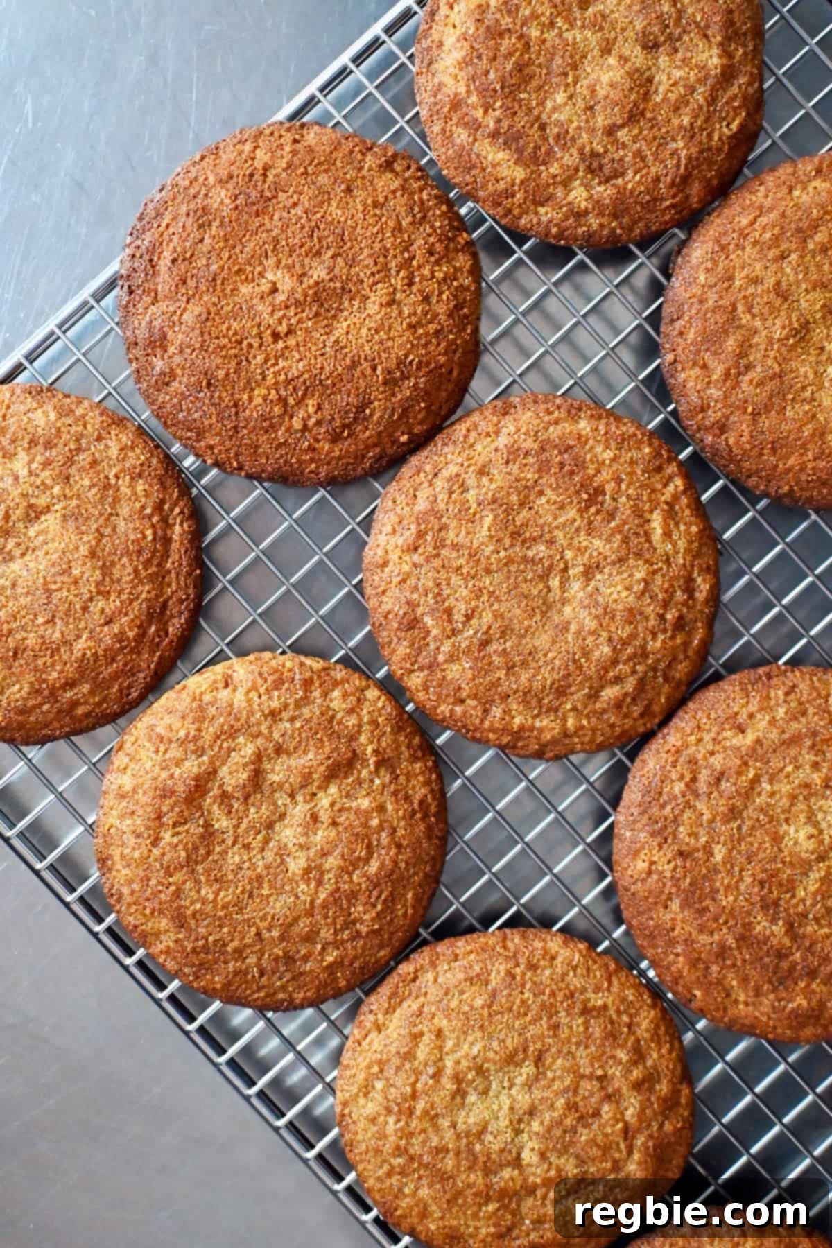 An overhead shot of freshly baked paleo and gluten-free snickerdoodles arranged on a wire cooling rack, highlighting their perfect shape and cinnamon coating.