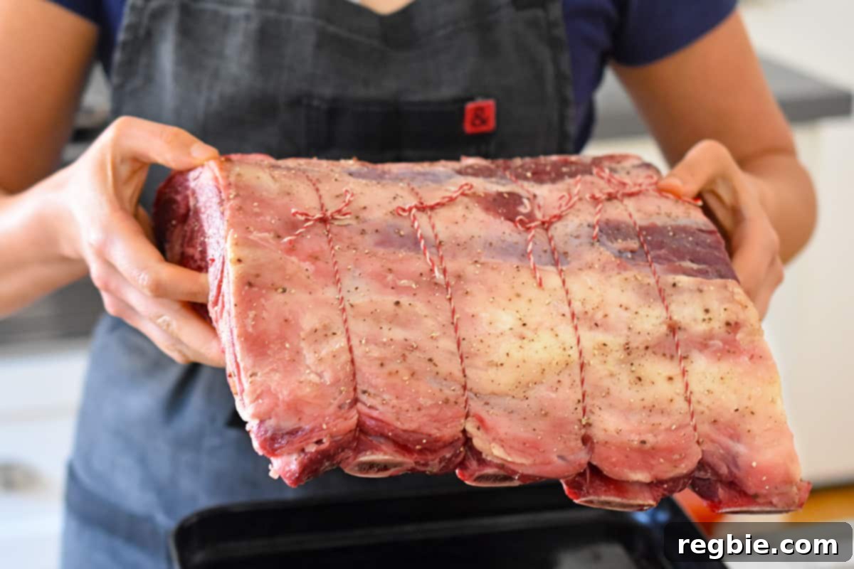 Someone carefully placing a seasoned, tied prime rib roast into a small rimmed baking sheet, preparing it for roasting after reaching room temperature.
