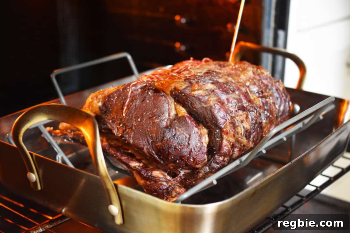 A side view of a prime rib roast in the oven, having been slow-roasted to the correct internal temperature, showcasing its gentle cooking.