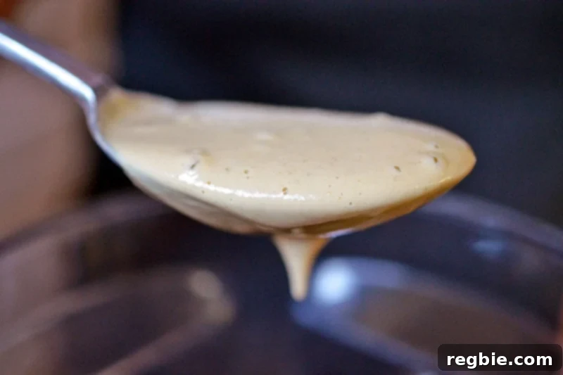 A spoonful of freshly blended Tonnato Sauce right out of the blender, demonstrating its rich, thick texture.