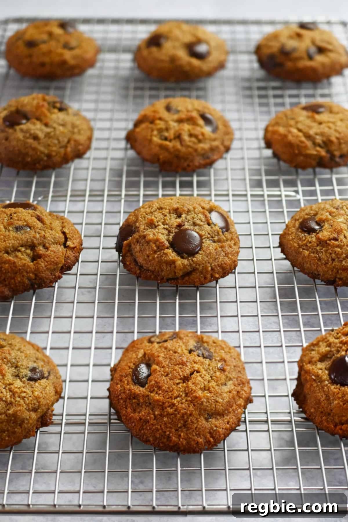 A side view of a wire rack covered with a dozen freshly baked paleo banana cookies, cooling and waiting to be eaten.