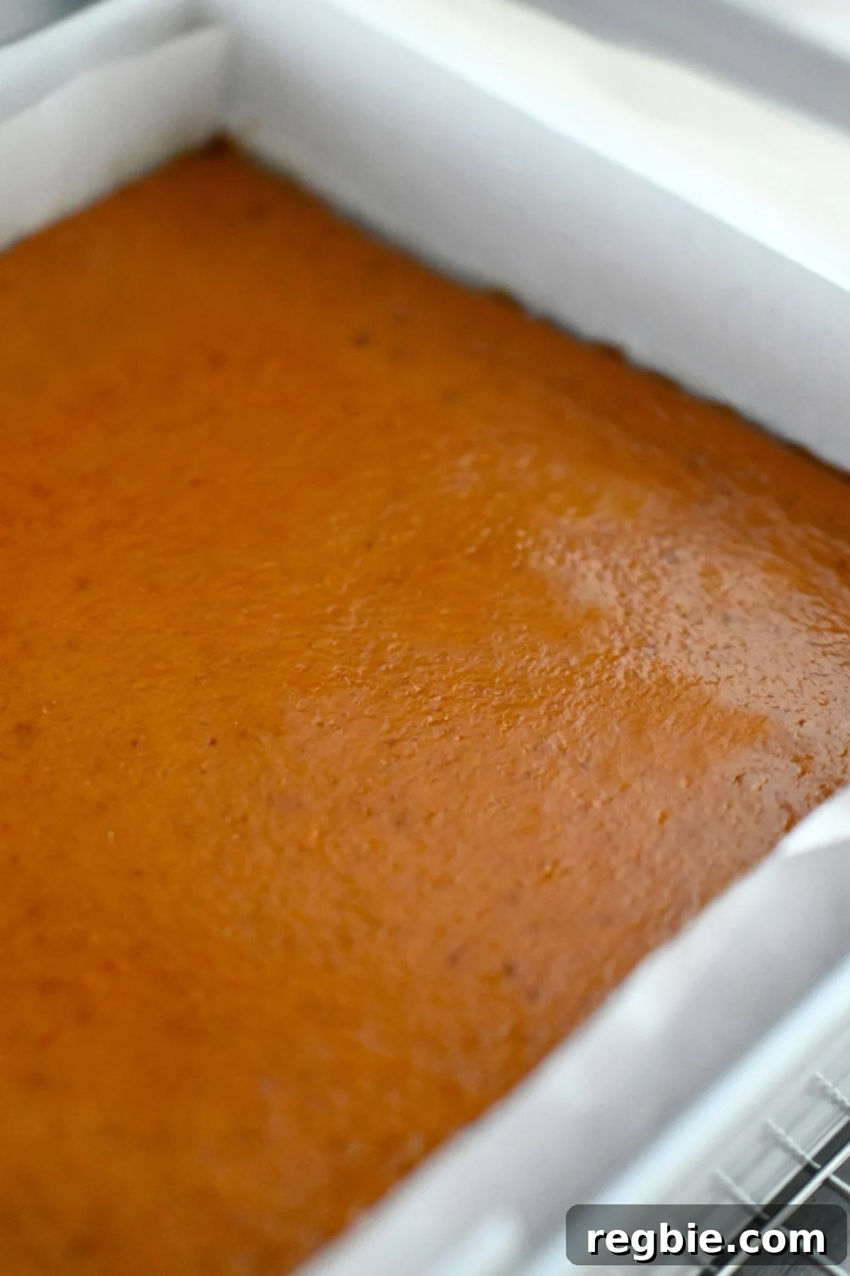 Golden Harvest Pumpkin Bars 22 A close up shot of the surface of the pumpkin pie bars cooling in the pan on a wire cooling rack.