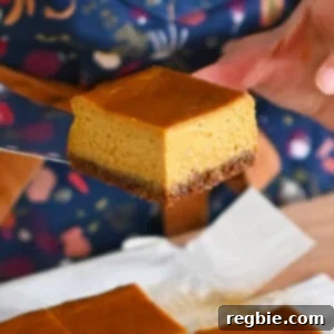 Lifting up a square of pumpkin pie bar to show the texture of the filling and cookie crumb crust.