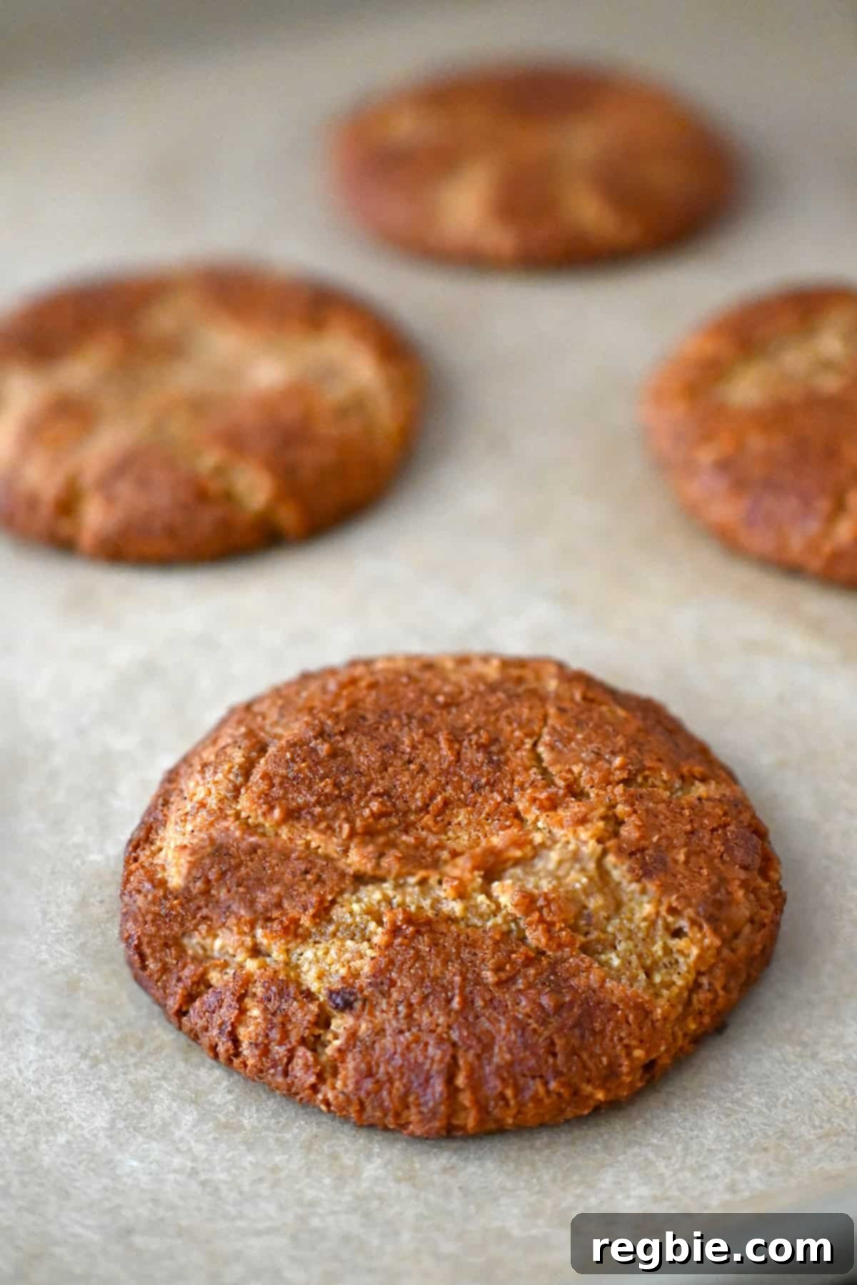A close-up shot of a freshly baked pumpkin snickerdoodle cookie cooling on a parchment lined baking sheet.