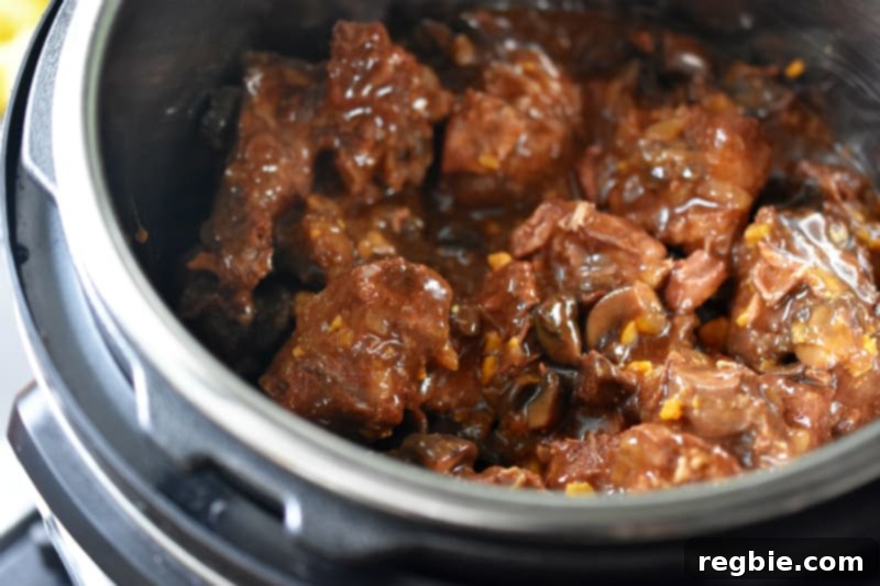 Reheating Instant Pot Beef Stew in an Instant Pot