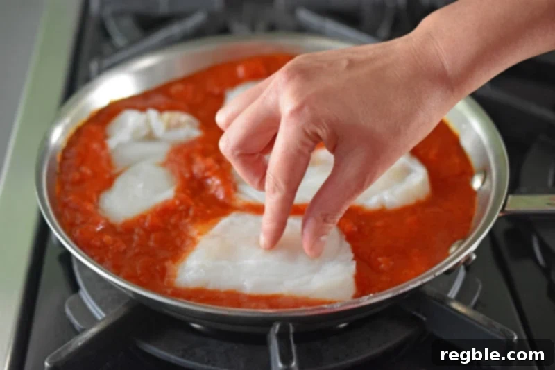 Quick Tomato Poached Cod One-Pan Meal 10 Seasoned cod fillets are carefully and gently placed, or 'tucked,' into the simmering marinara sauce within a gleaming stainless steel skillet, ensuring they are partially submerged and ready for poaching.