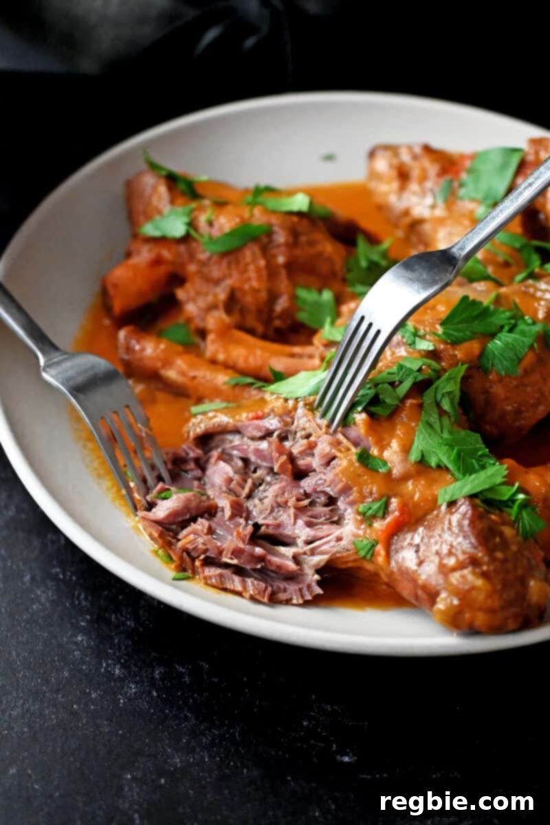 A fork is shredding a cooked lamb shank.