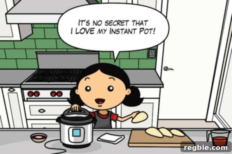 Holiday Gift Guide 2016 by Michelle Tam - Instant Pot and ThermoPop Kitchen Tools