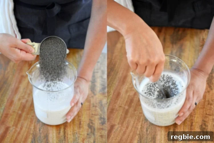 Someone is pouring chia seeds into the blended milk mixture and mixing it.