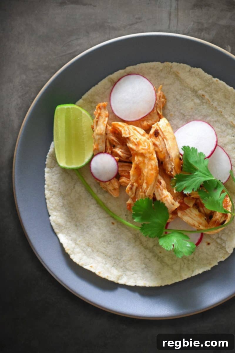 Instant Pot Whole30 Keto Salsa Chicken Tacos 9 An overhead shot of a beautifully arranged plate of healthy Whole30 Instant Pot Salsa Chicken Tacos, garnished with fresh cilantro, radishes, and lime wedges, ready to be enjoyed.