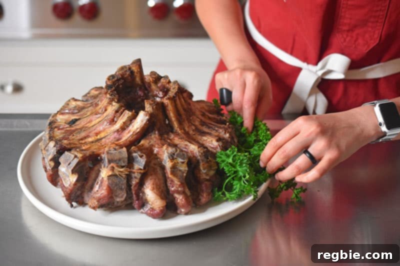 Someone garnishing a plate of Magic Crown Roast of Pork with curly parsley for a beautiful presentation.