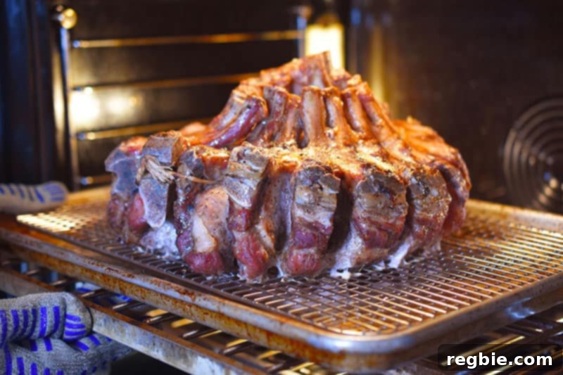 Rotating the Magic Crown Roast of Pork in the oven for even browning during the broiling stage.