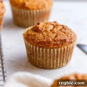 A trio of perfectly baked gluten-free pumpkin muffins, made with almond flour, artfully arranged on a chic marble countertop, inviting a delightful autumnal bite.