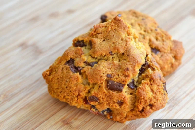 A beautifully textured paleo and grain-free cherry chocolate scone resting on a rustic wooden cutting board.