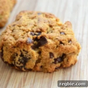 Grain-Free Dark Chocolate Cherry Scones from Nom Nom Paleo, a perfect homemade edible gift.