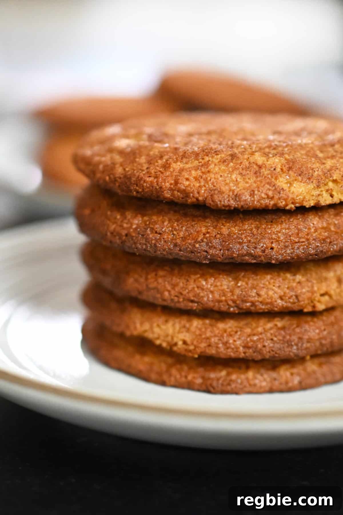 A stack of golden brown paleo and gluten-free snickerdoodle cookies on a white plate, dusted with cinnamon sugar.