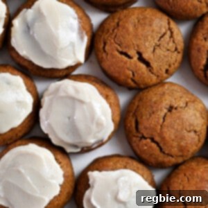 An overhead shot of a plate filled with paleo and gluten-free pumpkin cookies, some frosted and some plain.