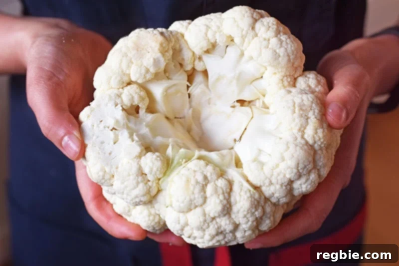 A closeup shot of the bottom side of a small head of cauliflower where the stem and leaves have been expertly removed.