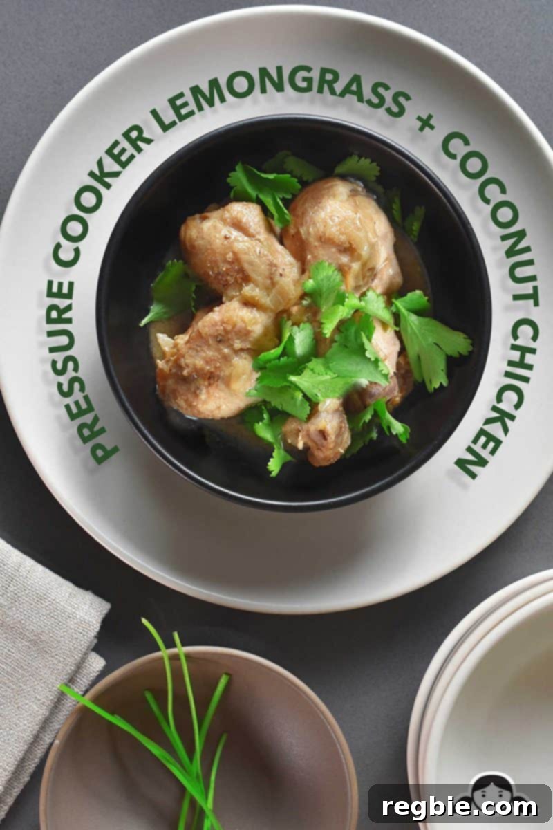 Creamy Instant Pot Lemongrass Coconut Chicken 2 A vibrant bowl of Instant Pot Lemongrass and Coconut Chicken garnished with fresh cilantro.