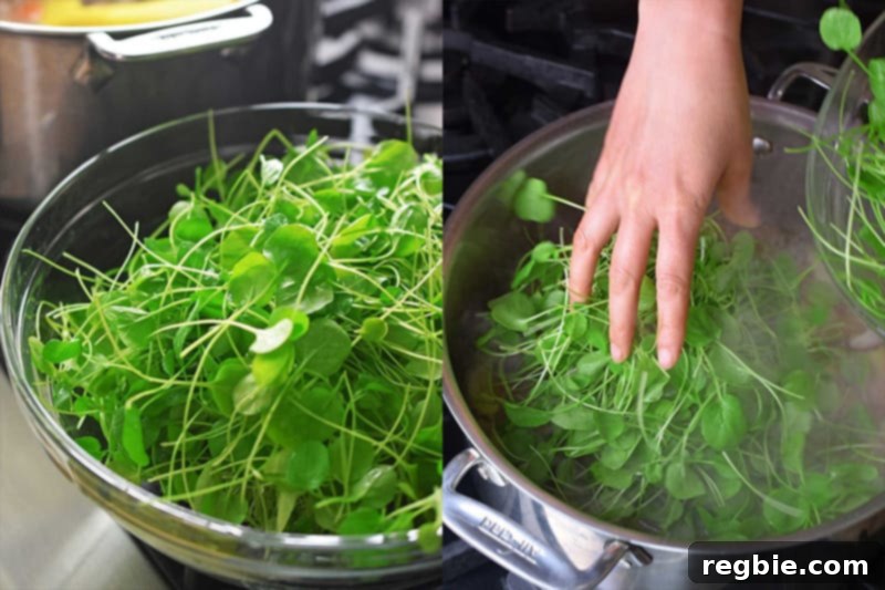 Gently adding fresh, tender watercress to the hot Watercress & Chicken Soup after removing it from the heat.