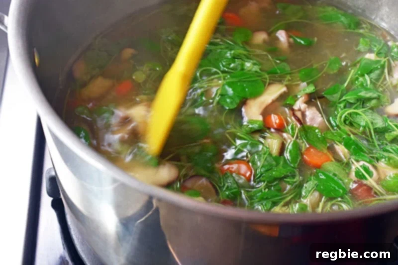An overhead shot of the completed Watercress & Chicken Soup, vibrant with green watercress and tender chicken.