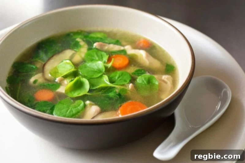 A side view of a delightful bowl of Watercress & Chicken Soup, served on a plate with a white ceramic spoon, highlighting its inviting presentation.