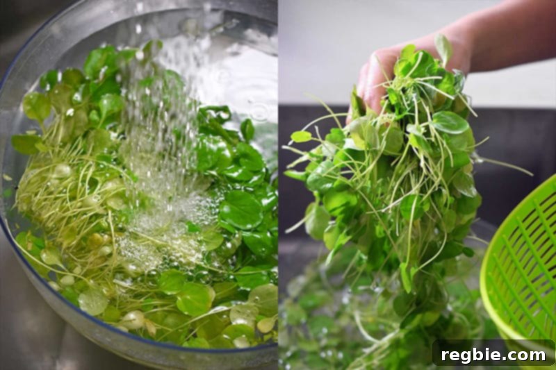 Washing delicate young watercress leaves in cold water within a clear glass bowl, preparing them for the soup.