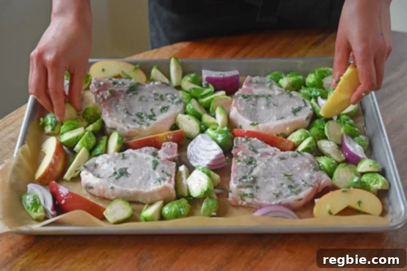 Arranging the ingredients for Sheet Pan Pork Chop Supper in a single layer on a rimmed baking sheet, showing pork chops surrounded by apples, Brussels sprouts, and onions.