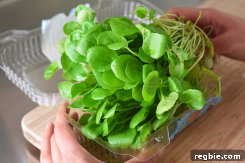 Mastering Your Paleo Pantry 6 Someone opening a package of fresh watercress, an example of fresh produce for a Paleo diet.