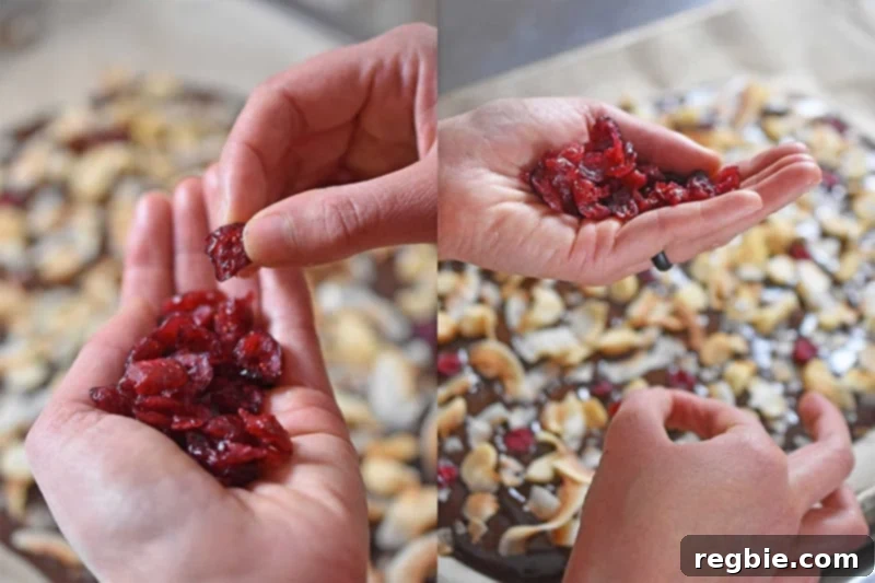 Coco-Nutty Dark Bark by Michelle Tam / Nom Nom Paleo https://nomnompaleo.com showing dried cranberries sprinkled on chocolate bark.