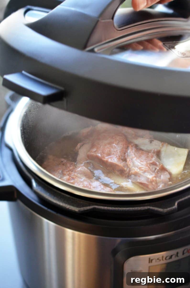 Your Essential 2015 Holiday Gift Selections 7 Instant Pot electric pressure cooker with a bowl of food