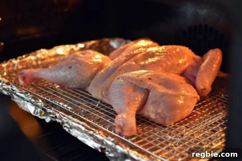 Transform Chicken with Herb Butter Spatchcock Juicy and Crispy 19 Placing the Spatchcocked Chicken with Herb Butter into the preheated oven for roasting.