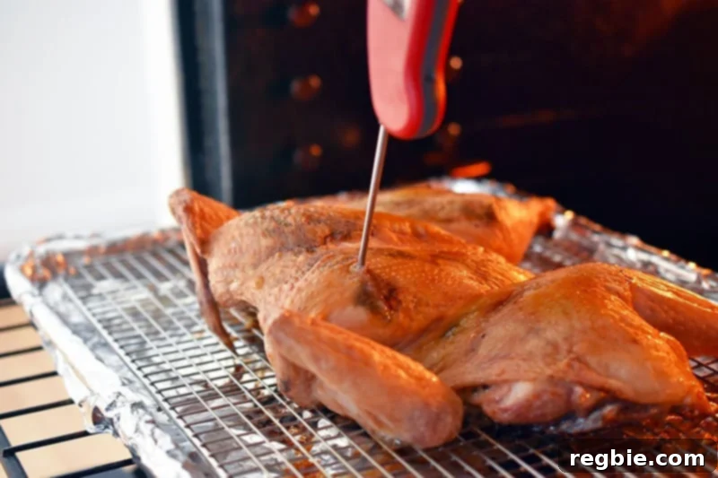 Transform Chicken with Herb Butter Spatchcock Juicy and Crispy 20 Checking the temperature of the Spatchcocked Chicken with Herb Butter with a meat thermometer stabbed into the breast meat.
