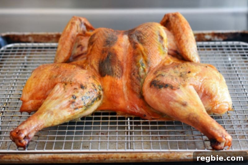 Transform Chicken with Herb Butter Spatchcock Juicy and Crispy 3 A Spatchcocked Chicken with Herb Butter resting on a wire rack, showcasing its flattened form for optimal roasting.